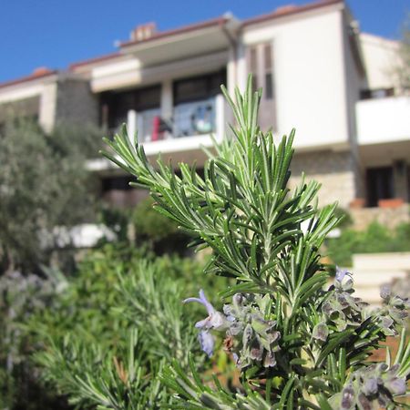 Apartments Palma & Pino Cres Esterno foto